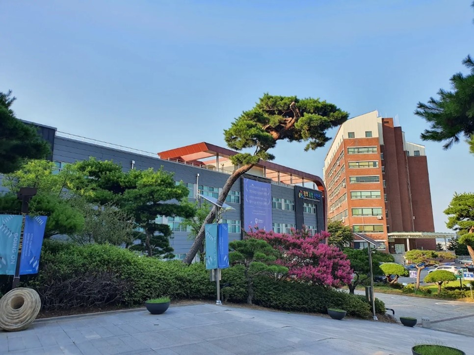 Anyang University